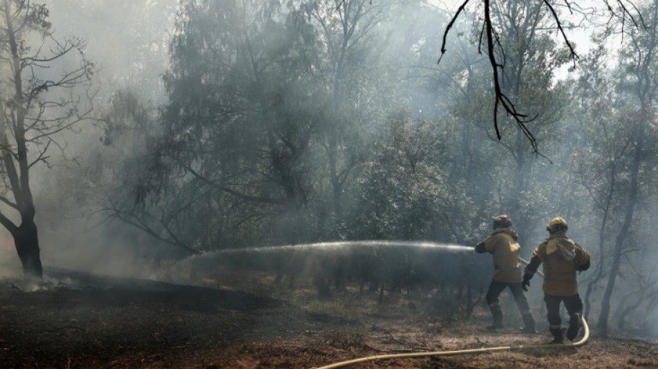  Un voraz incendio forestal consume 1.700 hect&aacute;reas en Francia 
