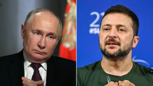 T&uuml;rkei dr&auml;ngt Russland und Ukraine zu schnellstm&ouml;glichen Waffenruhe-Gespr&auml;chen