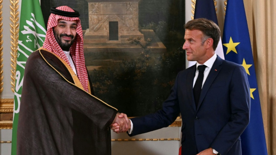 Saudi Arabia to invest $7 bn in theme parks near Paris