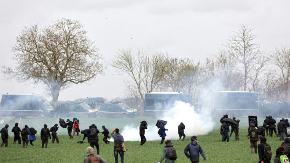 Violentos enfrentamientos en una manifestaci&oacute;n ecologista en Francia