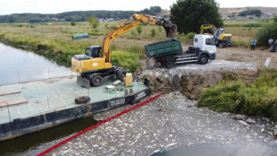Pollution d'Oder: 100 tonnes de poissons morts rep&ecirc;ch&eacute;s