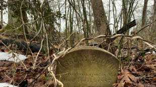 'A crime scene': US researchers examine unmarked graves of dozens of Black children