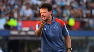 Cruzeiro anuncia demiss&atilde;o do t&eacute;cnico Fernando Diniz