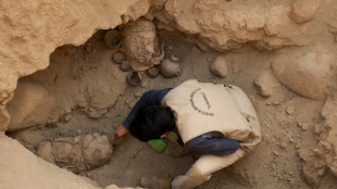 R&auml;tsel um mehr als tausend Jahre alte Knochen vor Beh&ouml;rdengeb&auml;ude in Speyer gel&ouml;st