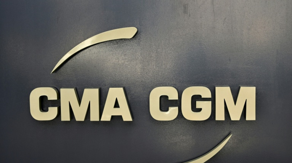  Container ship declaring French ownership passes through Hormuz strait 