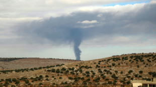 Syrie: plus de 140 morts dans des combats entre arm&eacute;e et jihadistes pr&egrave;s d'Alep, selon une ONG