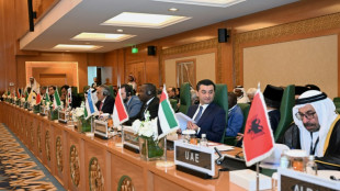 Pa&iacute;ses isl&acirc;micos adotam plano &aacute;rabe para reconstruir Gaza como alternativa &agrave; ideia de Trump