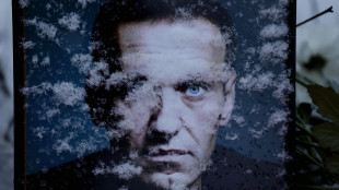 Cinque Paesi europei, 'Navalny avvelenato dalla Russia con una tossina'