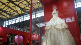 Vestidos de festa, robôs e clones em feira de animais de estimação na China