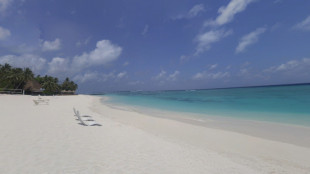 Maldive: testimone, 'Il tempo era bello, adatto a un'immersione'