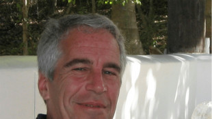 Studie: Kreml-freundliche Posts nutzen Epstein-Akten f&uuml;r Desinformation &uuml;ber die Ukraine