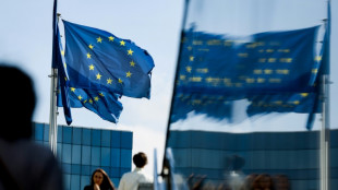 Ukraine: Bruxelles autorise des aides d'Etat pour les entreprises de l'UE en difficult&eacute;