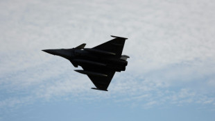 Rafale sales help France reach arms exports record 
