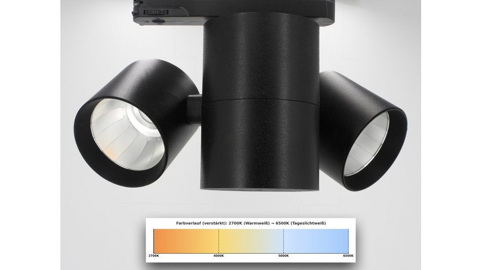 Tunable White Galeriebeleuchtung f&uuml;r perfekte Lichtstimmung